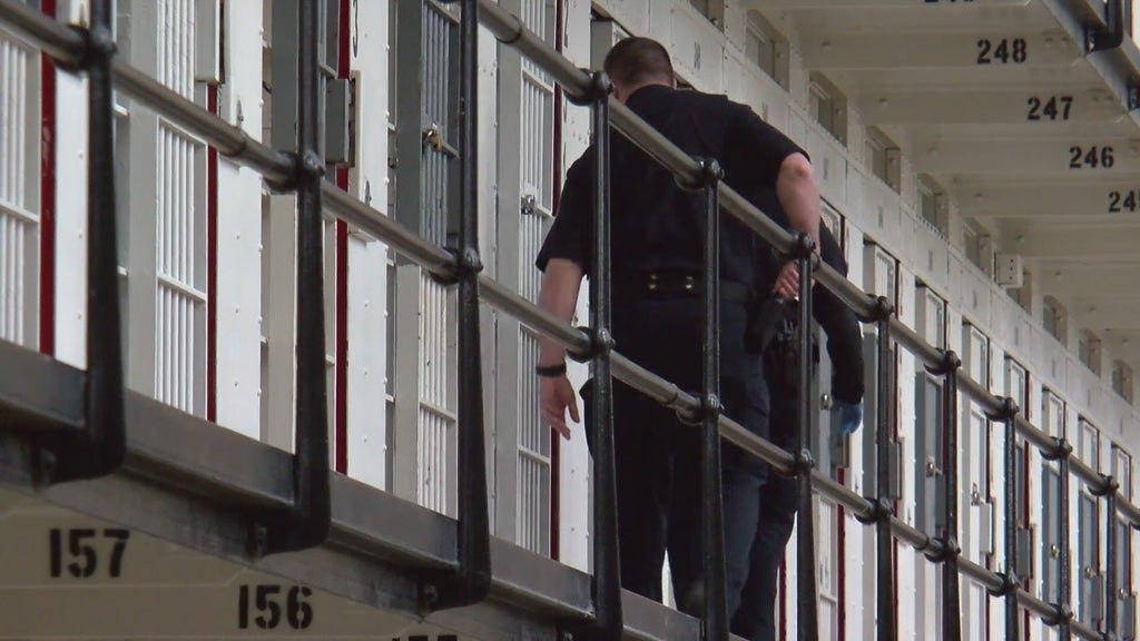 More than two dozen Georgia prisons on lockdown over security concerns following inmate fight — Alpharetta Health news