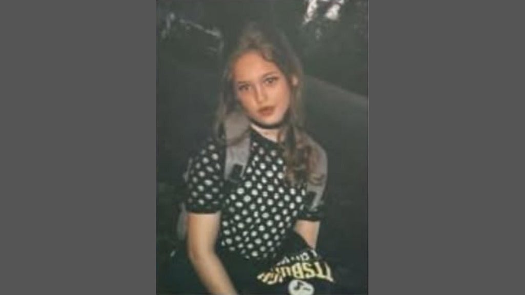 FBI joins search for Georgia 16-year-old girl who has been missing for over a week — Alpharetta Community news